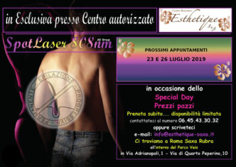 faboLaser_pub